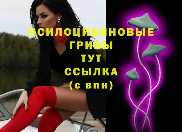 молекула духа Баксан