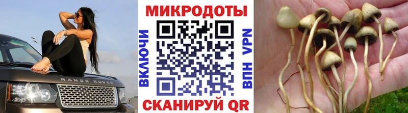 Галлюциногенные грибы ЛСД  Купить  Уржум 